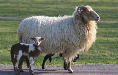 Lente in het Westerpark - Zoetermeer 2012